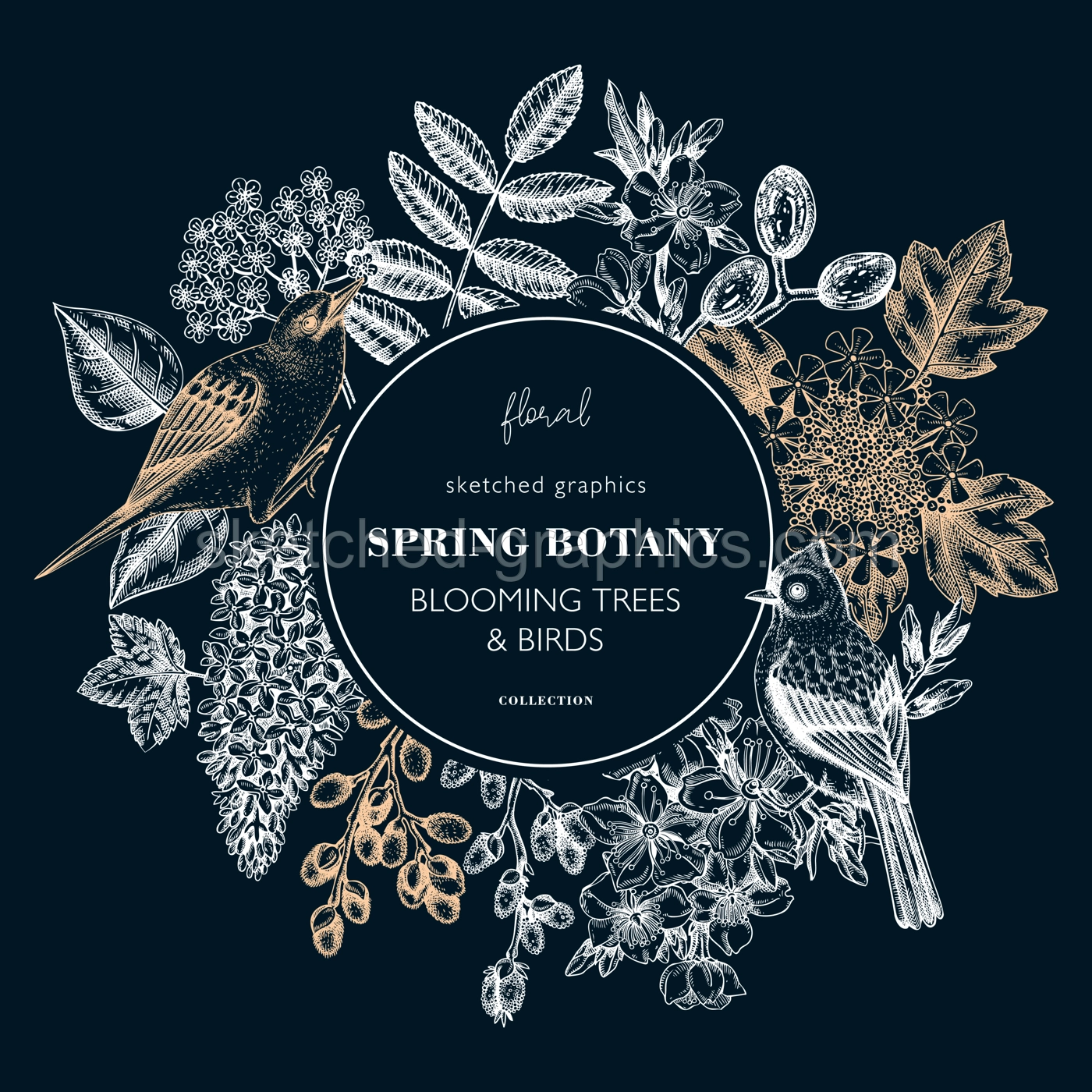 Spring hand drawn wreath template on chalkboard. Floral frame designs with birds, flowers, leaves and blooming tree branches. Almond, willow, rowan, willow, lilac, cherry blossom sketches for prints Illustration